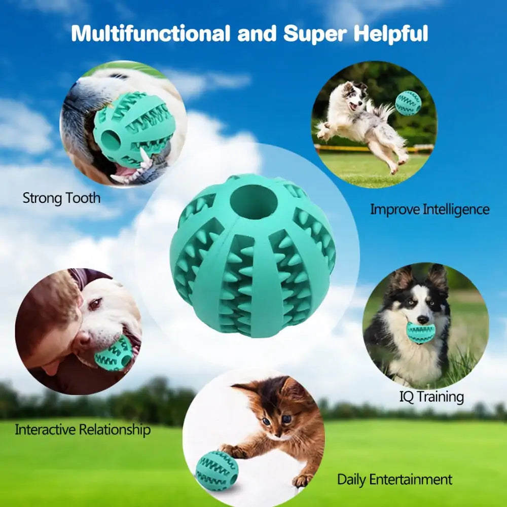Treat Ball for Cats and Dogs